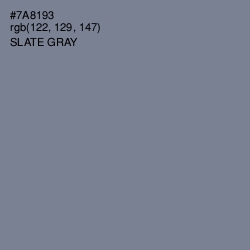#7A8193 - Slate Gray Color Image